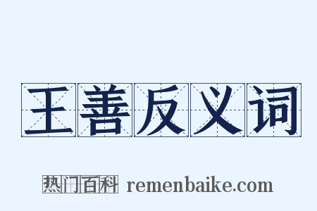 王善反义词是什么意思的图片